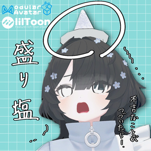 【無料】頭に乗っける盛り塩【MA対応】