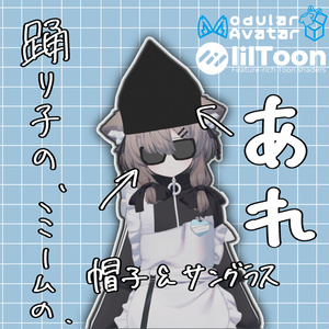 [무료] 그 밈 모자와 선글라스 [M...