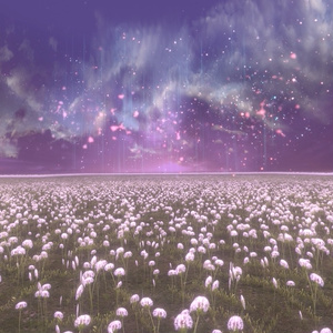 Architectural dream Vol.0 缩略图 20