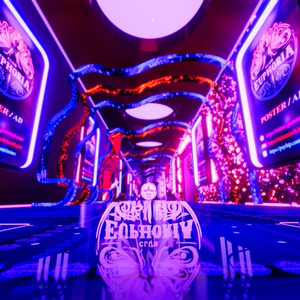Club Euphoria (Audio Link) 缩略图 44