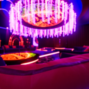 Club Euphoria (Audio Link) 缩略图 41