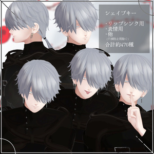 【VRChat想定アバター】フィル 缩略图 7
