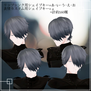 【VRChat想定アバター】フィル 缩略图 14