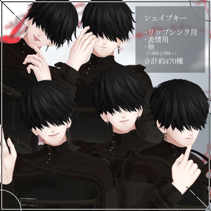 【VRChat想定アバター】フィル 缩略图 6