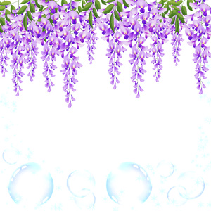 サムネ用画像藤の花とシャボン