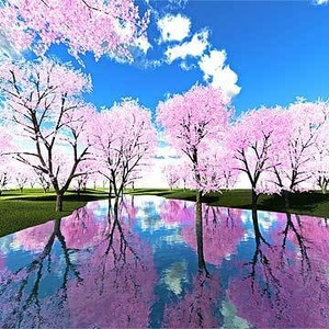 桜 No157