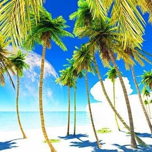 夏 No 001