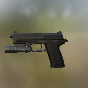HK USP 45 (FBX)