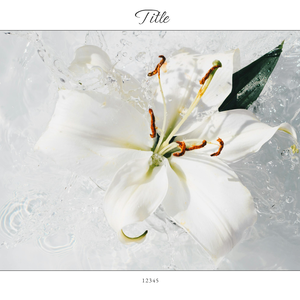r016 - Set