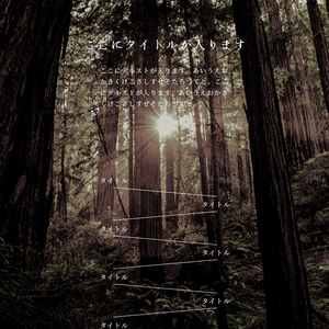 r017 - Novel