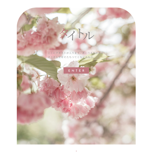 r025 - set