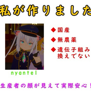 【無料有り】ネギのアレ。 缩略图 2