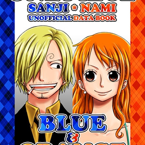 DATA BOOK BLUE & ORANGE