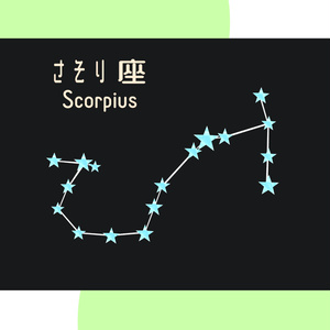 【無料】12星座-The Zodiac Sign-【装飾品】 缩略图 10