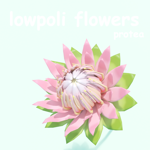 【値下げ】ローポリフラワー　プロテア　.fbx　.unitypackage　protea