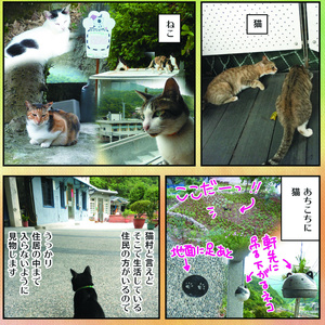 ぶらり台湾猫村散歩（DL版）