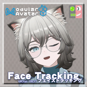 [VRChat]ヒビキ-HIBIKI- Face Tracking Setting