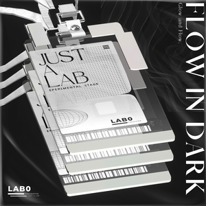 Lab0 ID Card『Flow in Dark』