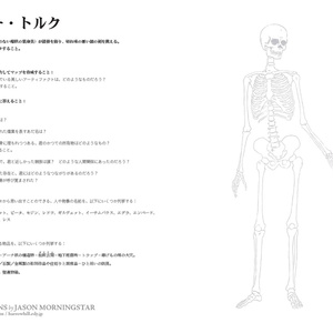 物理：スケルトンズ