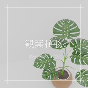 【VRChat想定】観葉植物(146点)