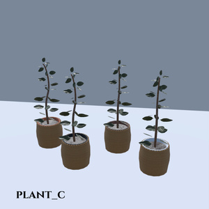 【VRChat想定】観葉植物(146点) 缩略图 17