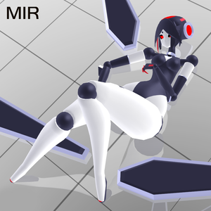 Framedoll Mir