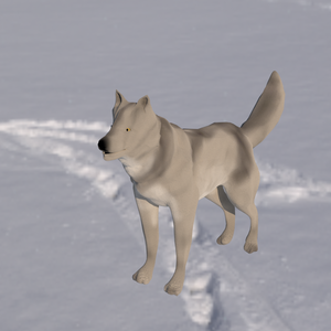 [Unity対応3Dモデル]  犬