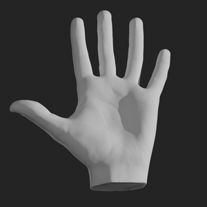 3D素材　手・足・耳 