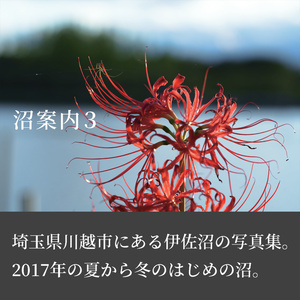沼案内3
