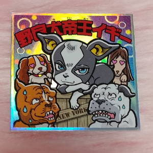 野良犬帝王イギ