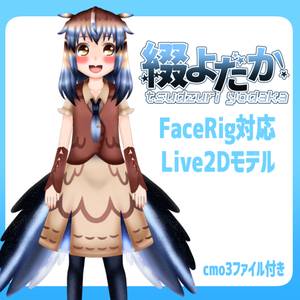 綴よだか Live2Dモデル