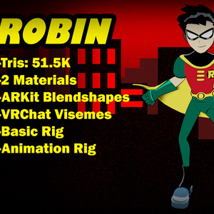 Teen Titans Robin Rigged 3D model