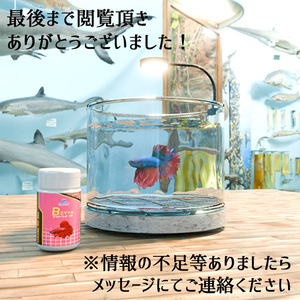 【Unity3Dモデル】アクアリウム水槽＋ベタのセット【熱帯魚アニメーション付き】 缩略图 14
