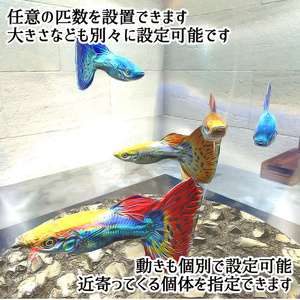 【Unity3Dモデル】アクアリウム水槽＋グッピー(熱帯魚)のセット【回遊アニメーション付属】 缩略图 6