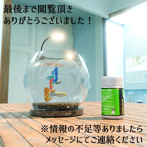 【Unity3Dモデル】アクアリウム水槽＋グッピー(熱帯魚)のセット【回遊アニメーション付属】 缩略图 13