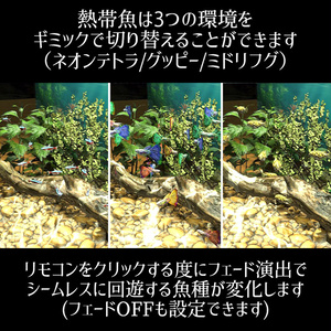 【VRC】お魚切り替えギミック付き！ちょっぴりリッチなアクアリウム水槽セット【グッピー ネオンテトラ ミドリフグ】 缩略图 3