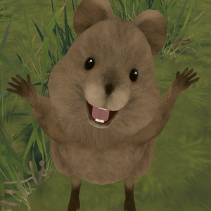 Quokka/クアッカワラビー 缩略图 5