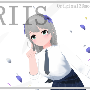 オリジナル3Dモデル[RIIS]