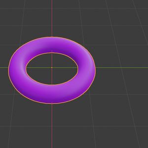 Purple Torus for Anon
