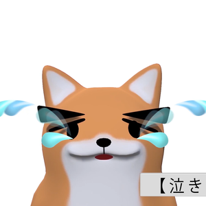 涙　泣き　動画素材