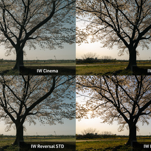 IW Contemporary Film Presets
