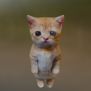 el gato cat