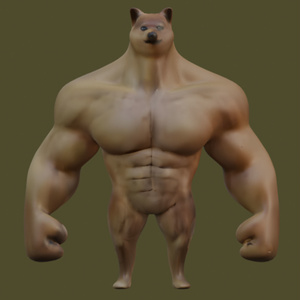 Muscle shiba