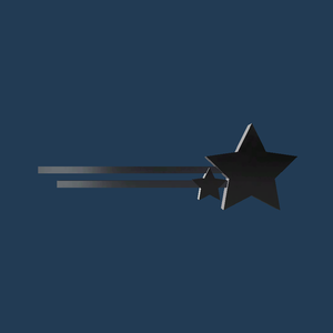 【free/無料】 Star Pin Accessory