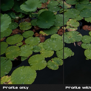 PosiLook Expert P1 Ver4.00a (for Canon)