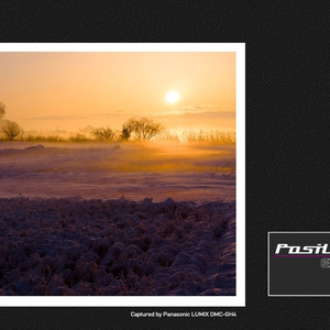 PosiLook Expert V1 Ver.2.00 (for EPSON R-D1x)