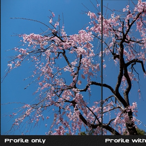 PosiLook Expert P1 Ver4.00a (for DxO ONE)