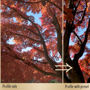 PrevLook R Ver1.00a
