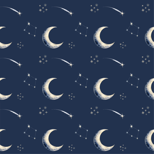 NO.2 夜の星屑