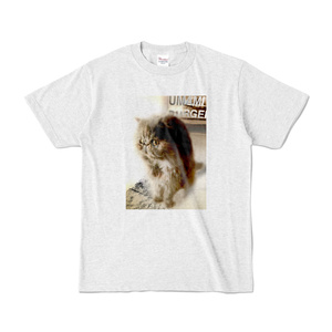 Tシャツ（猫）091